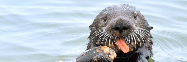 NWFwater Profile Banner