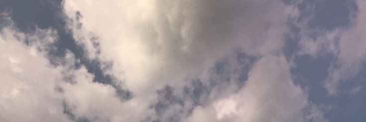 abrinichols's profile banner image