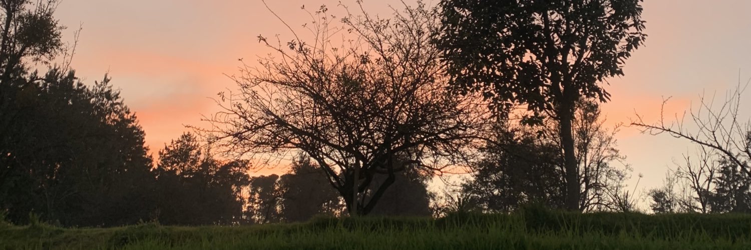 gonzotorrescano's profile banner image