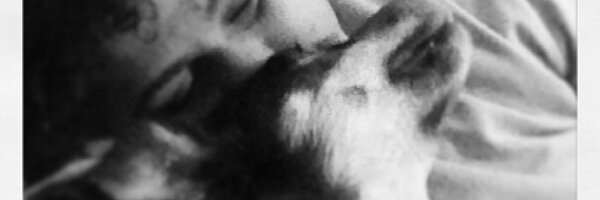 anegraflor Profile Banner