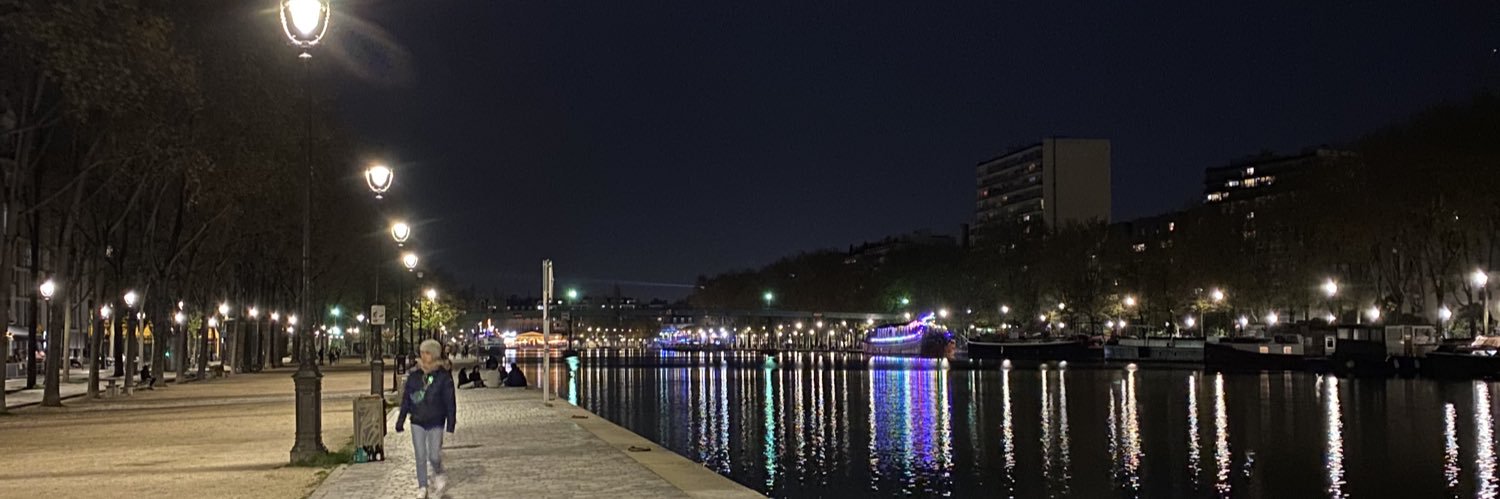 Une crocodile 🐊🇷🇪 banner