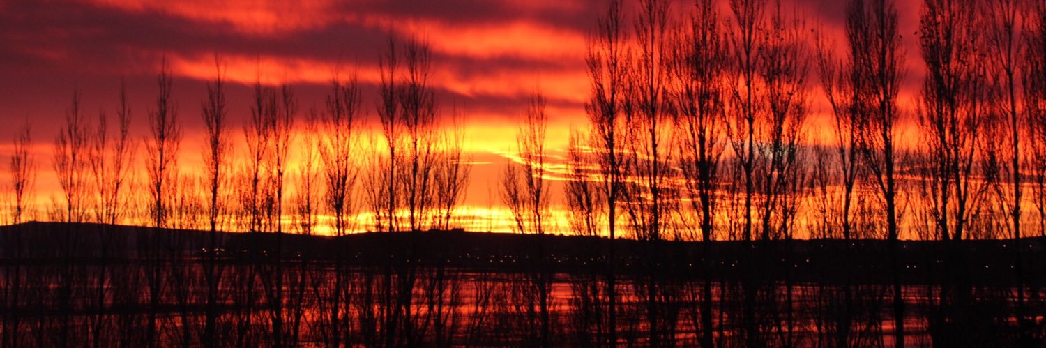 juanquevedo16's profile banner image