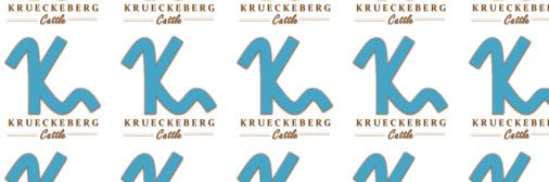 CaseyKrueck's profile banner image