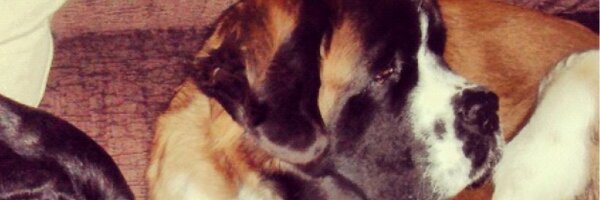 _ea18 Profile Banner