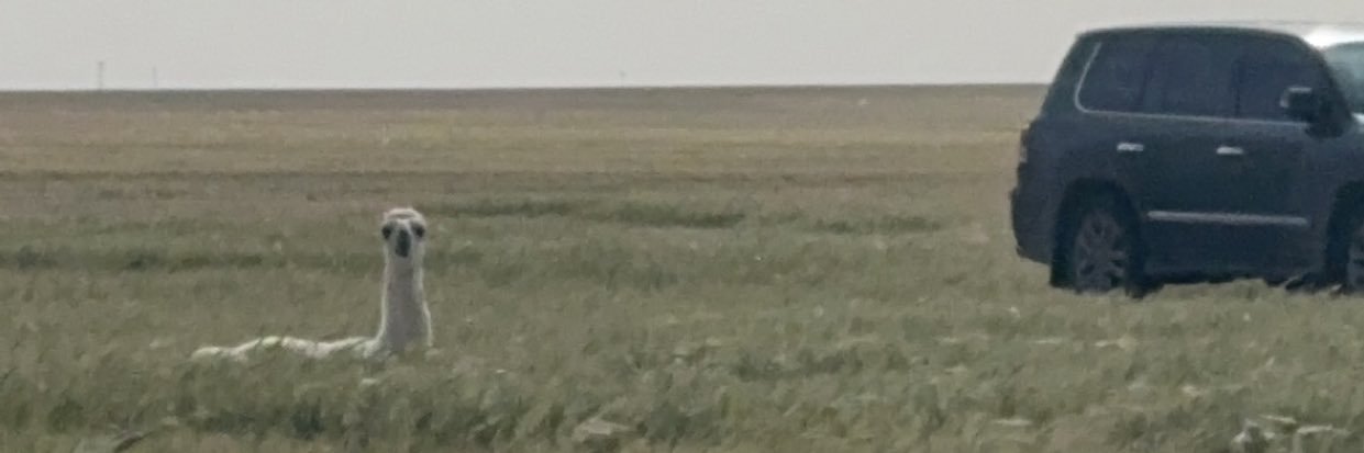 M_ABO_THNAIN's profile banner image