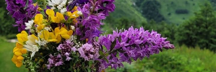 _ilknur_tekin's profile banner image