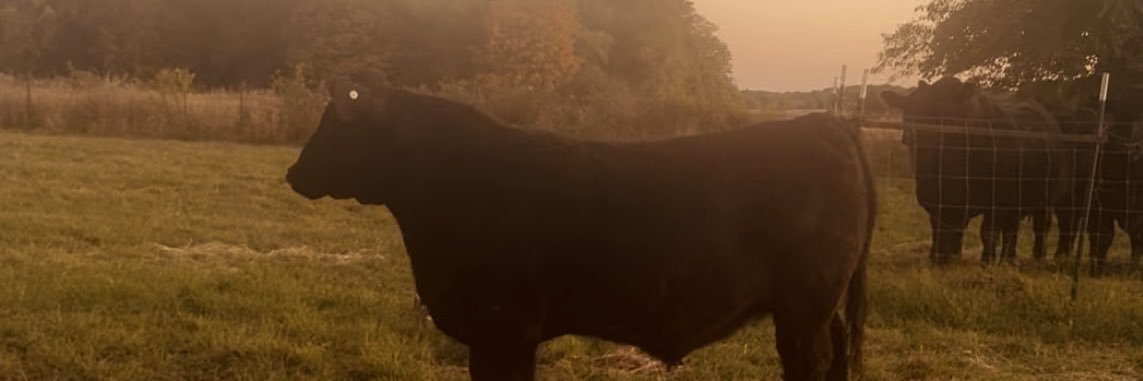 Joshy Josh 26-7 #11 AP poll banner