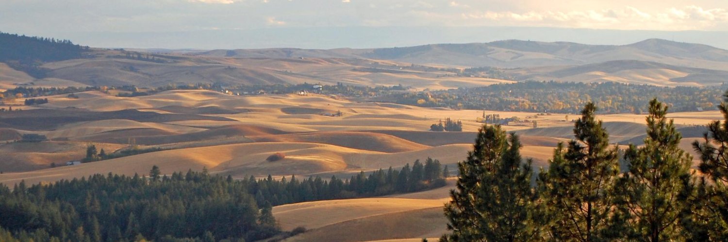 Angela Lenssen banner