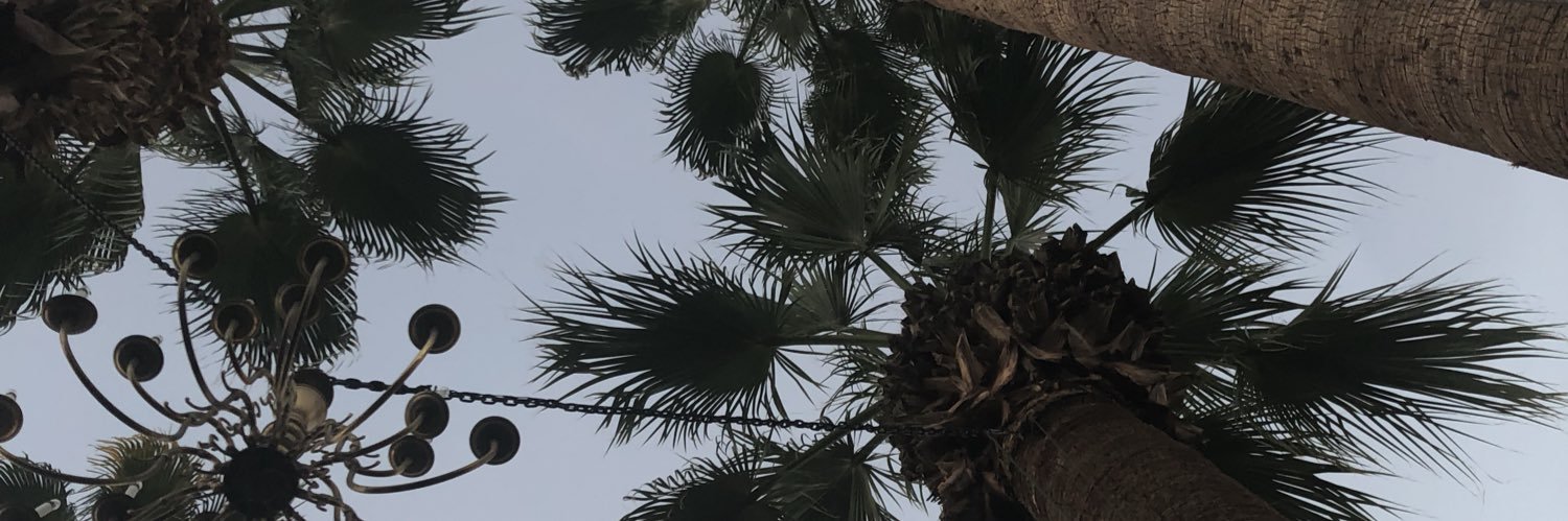 duswim's profile banner image