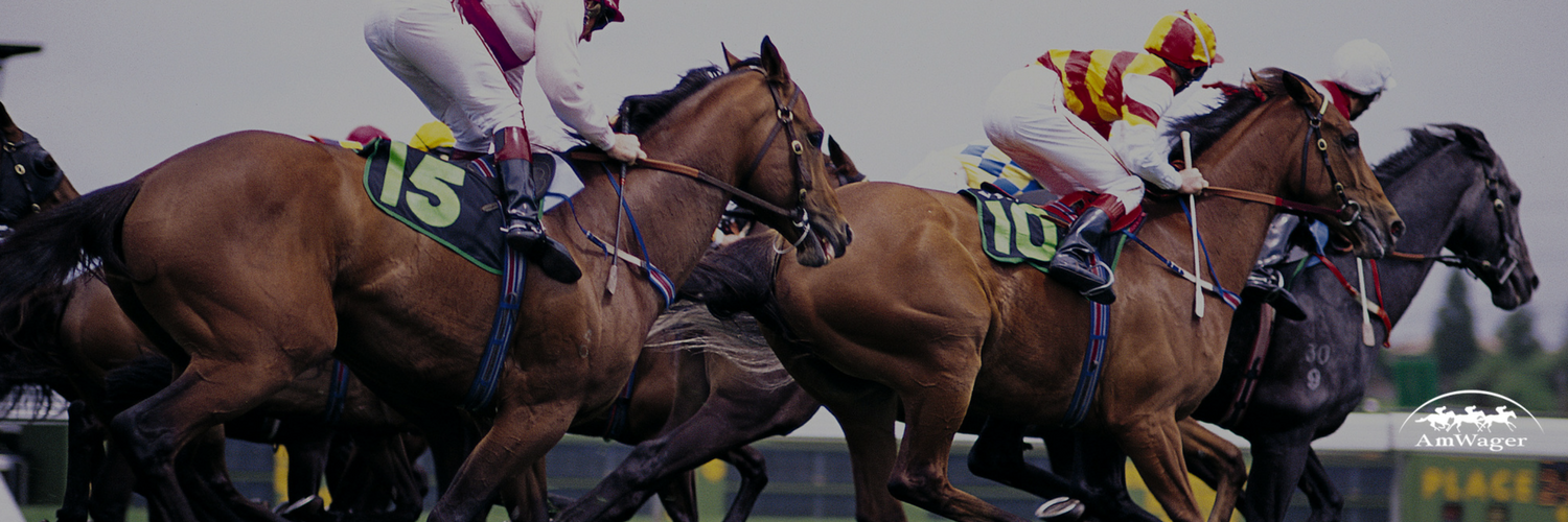 🏇 AmWager 🏇's banner