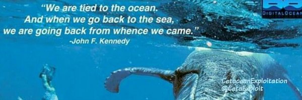 CetaceanExploitation Profile Banner