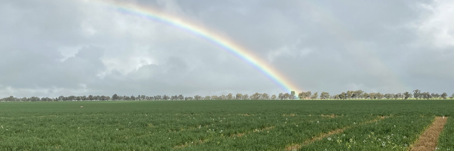Independent Rural banner