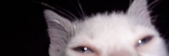 tiagoceb's profile banner image