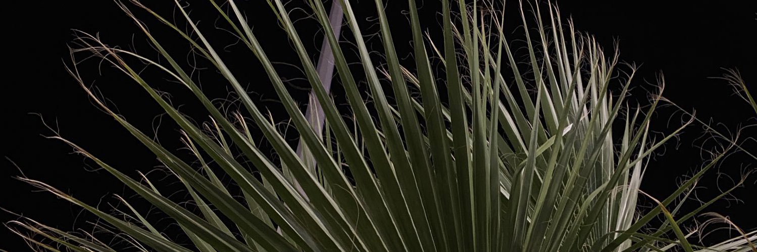 imshatha2's profile banner image