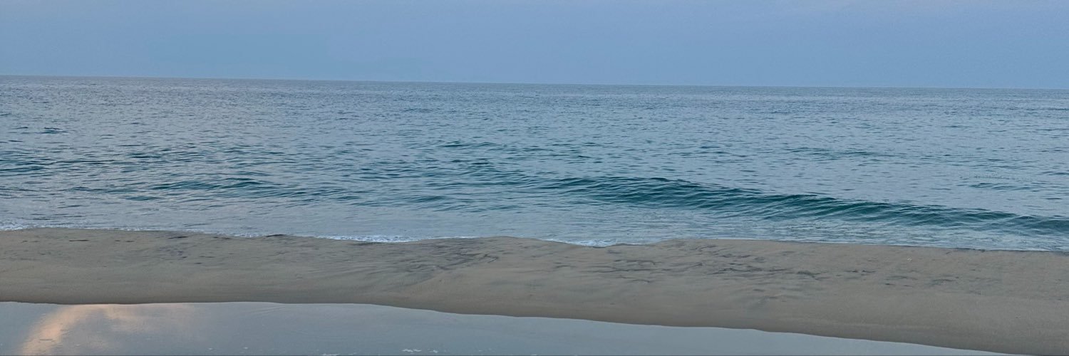 adelagreyjoy's profile banner image