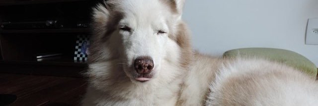 HannaBerzon's profile banner image