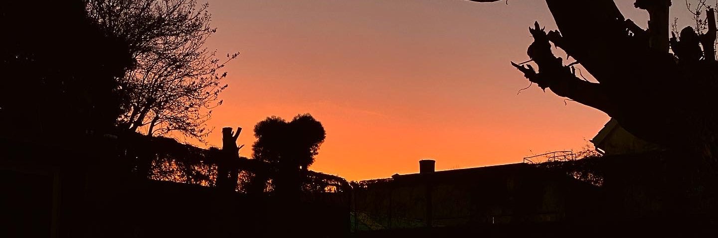zaridean's profile banner image