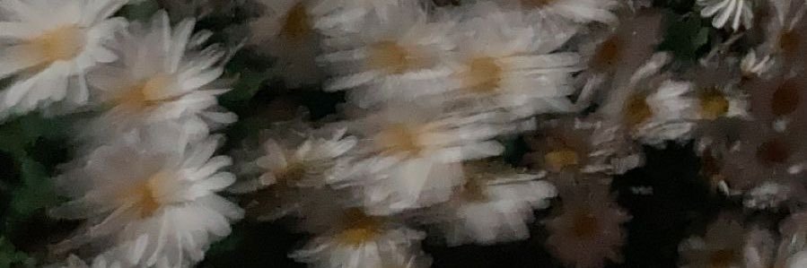_hatenasan's profile banner image