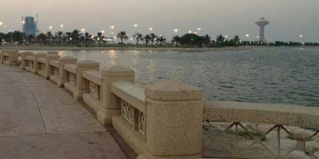 bosarh331's profile banner image