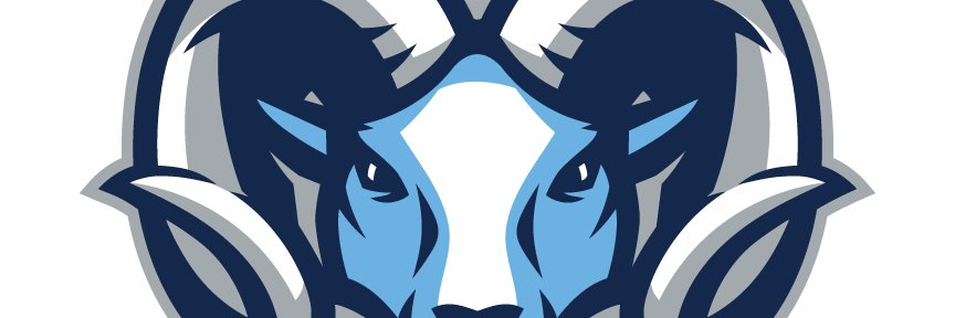 Elsik Volleyball banner