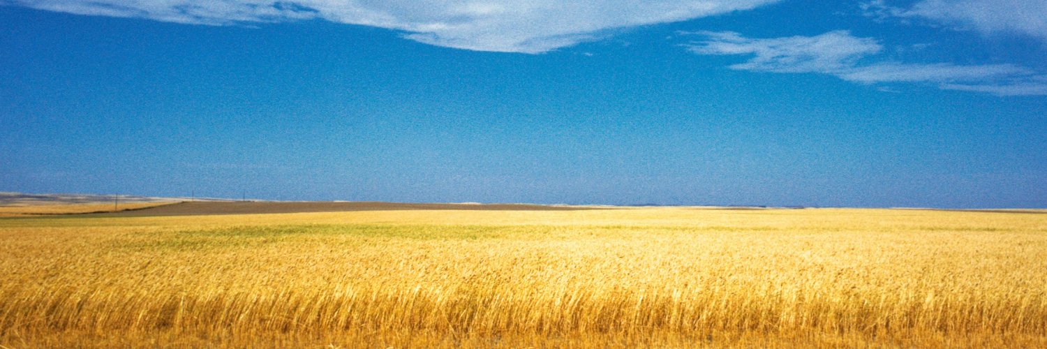 mansask's profile banner image