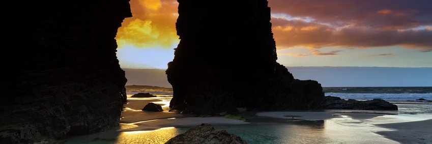 celiacarrion's profile banner image