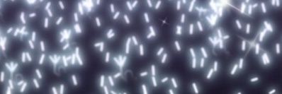 うずら@譲渡・交換用アカウント banner