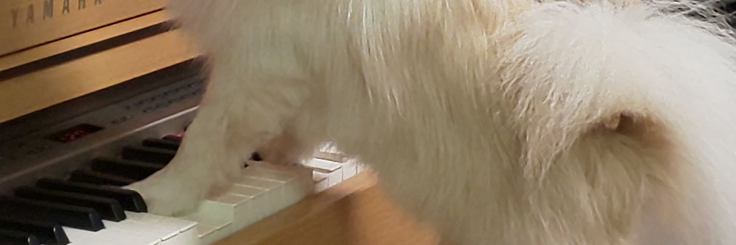 iseco4's profile banner image