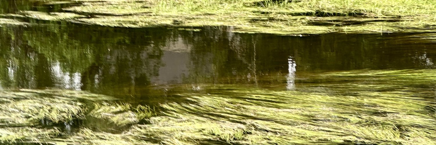 Hloja Diamond banner