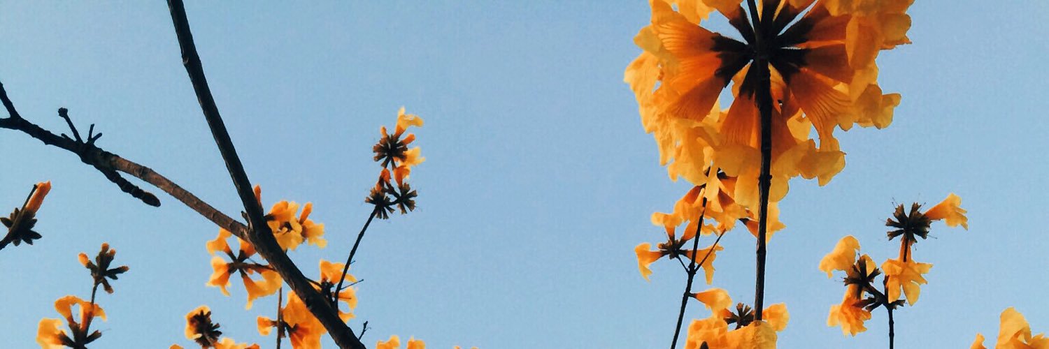 mish_holla's profile banner image