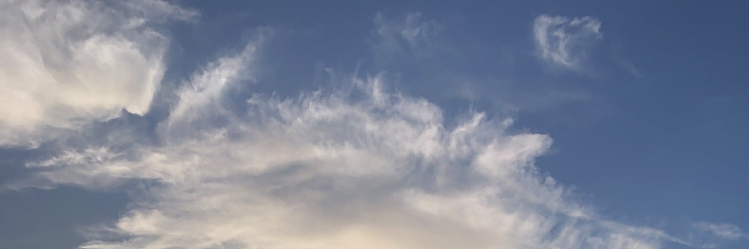 jas_vl's profile banner image