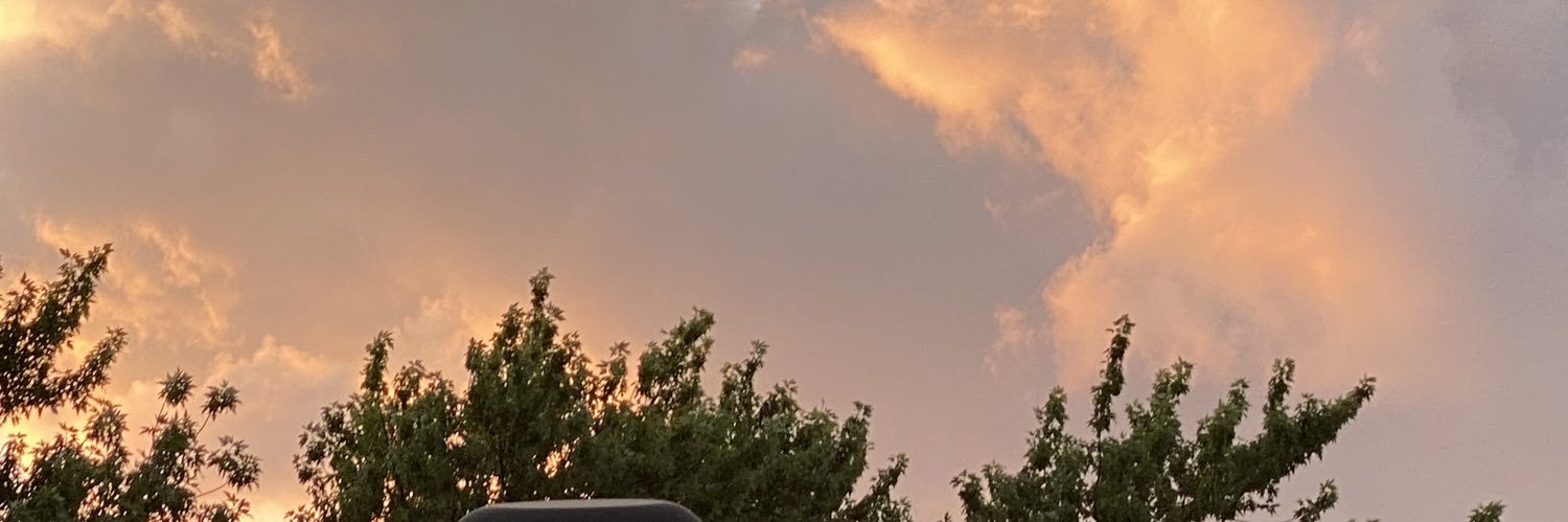tafani88's profile banner image