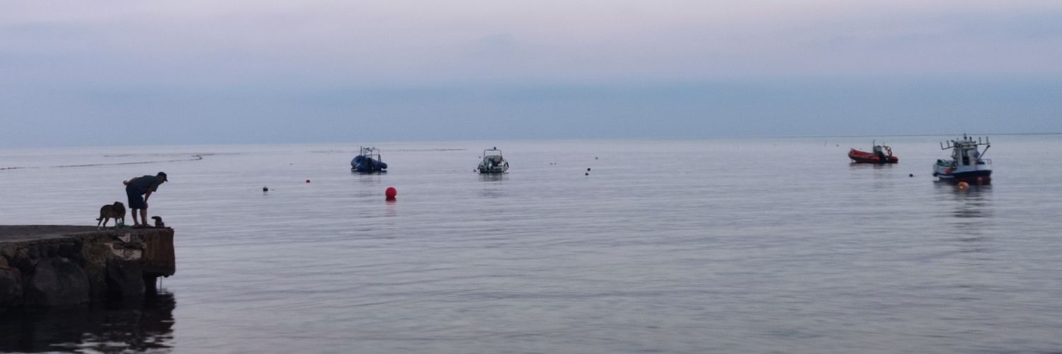 Mathieu de Taillac banner