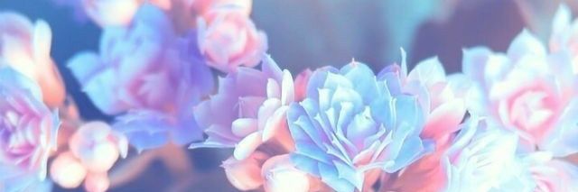 Tomarin Kitoka banner