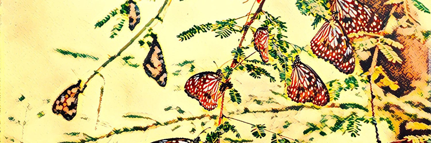L.P. Loudon banner