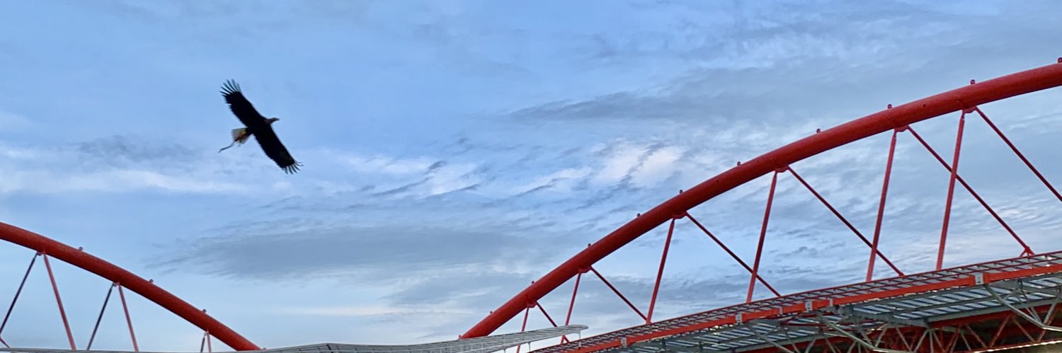 ToCruzAlves's profile banner image