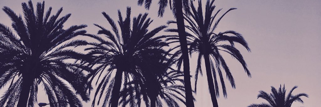 Hayleys9's profile banner image