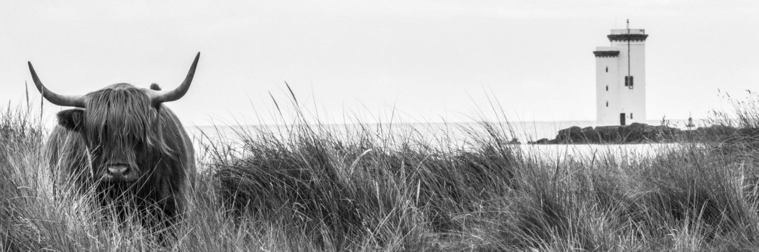 scotsdragon00's profile banner image