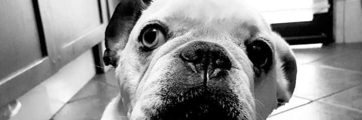 Joseaclopez's profile banner image