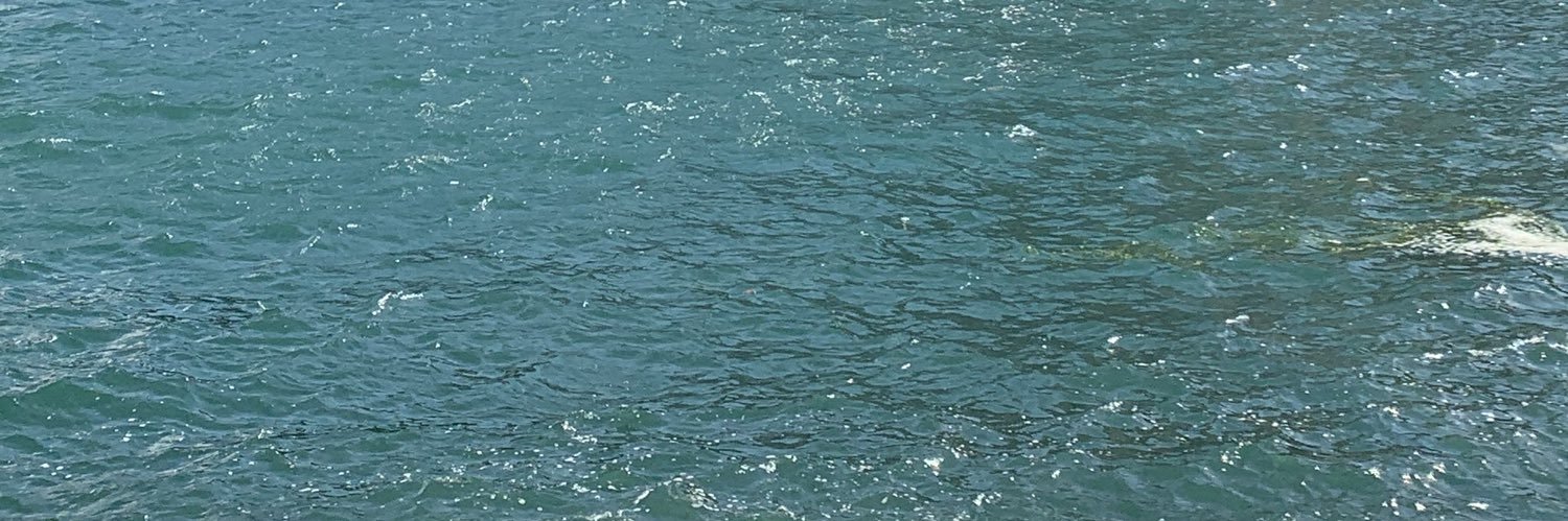 hatcetulkubra's profile banner image
