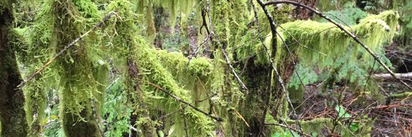 jebarton Profile Banner