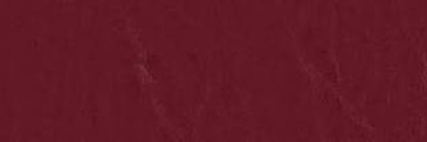 AliciaDrayton_ Profile Banner