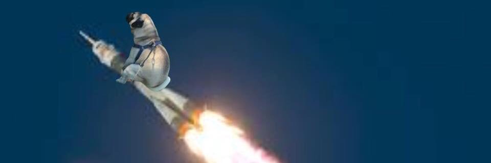 NotHernan2's profile banner image