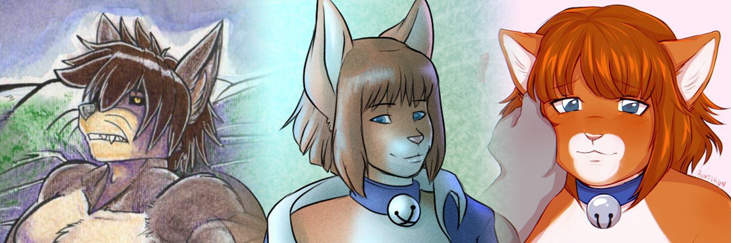 TimidTabby's profile banner image