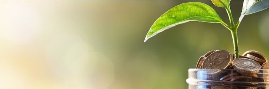 TedOhashi's profile banner image