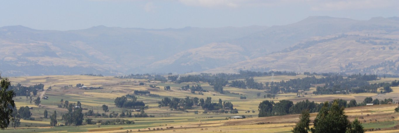 F.I. Proctor Foundation banner