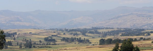 proctorfndn Profile Banner