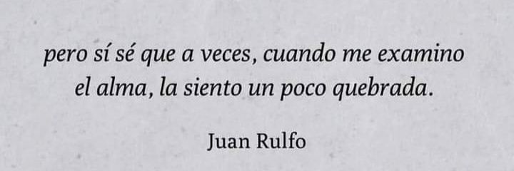 Camilo Andrés. banner