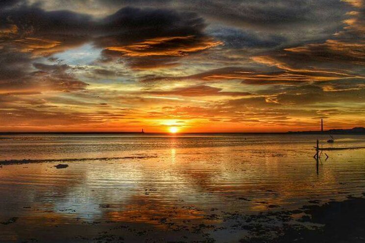 Darren Chapman banner