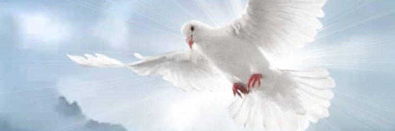 ztozzi's profile banner image